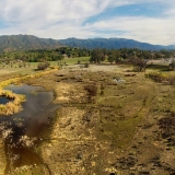 Ojai Meadow Preserve Flood Management Restoration-Rick Wilborn