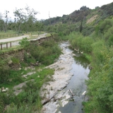 Bedrock San Antonio Creek-Al Leydecker