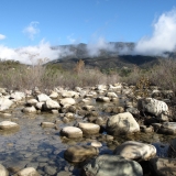 Ventura River Preserve-Lorraine Walter
