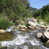 Ventura River's Beginnings, above Camino Cielo Brdg-Lorraine Walter
