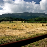 Hay Harvest Upper Ojai-Fred Rothenberg