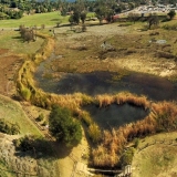 Ojai Meadow Preserve Restored Freshwater Marsh-Rick Wilborn