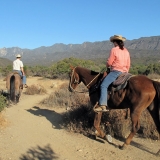 Horse riding VenRiver Preserve-Lorraine Walter