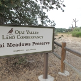 Ojai Meadows Preserve-Lorraine Walter