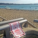 Ocean water quality warning-Ann Rosecrance