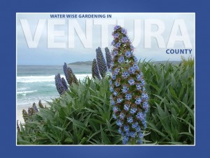 Waterwise Gardening logo
